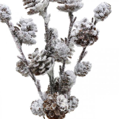 Product Christmas branches cone branch Snowed 30cm 5pcs in bunch