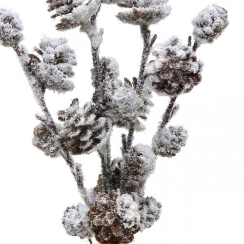 Floristik24 Christmas Branches Cone Branch Snowed 30cm 5 pcs in bunch
