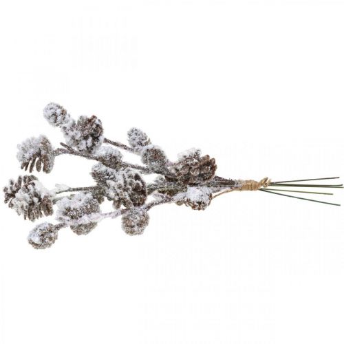Floristik24 Christmas Branches Cone Branch Snowed 30cm 5 pcs in bunch