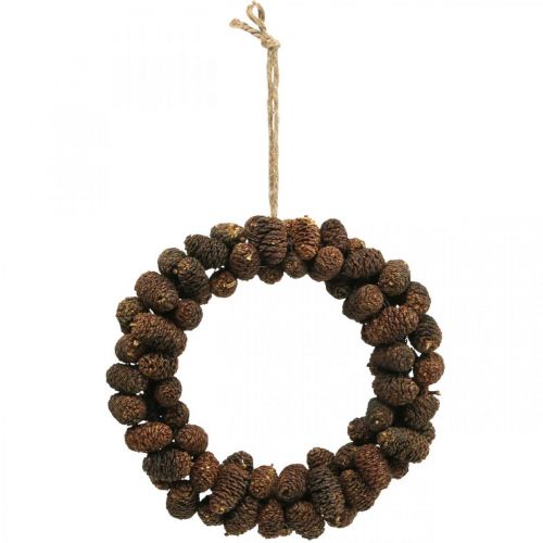 Cone wreath alder cone wreath door wreath nature Ø20cm