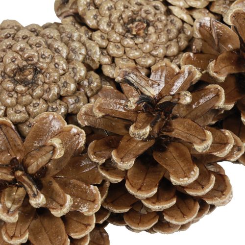 Floristik24 Cone wreath pine cones black pine cones Ø30cm