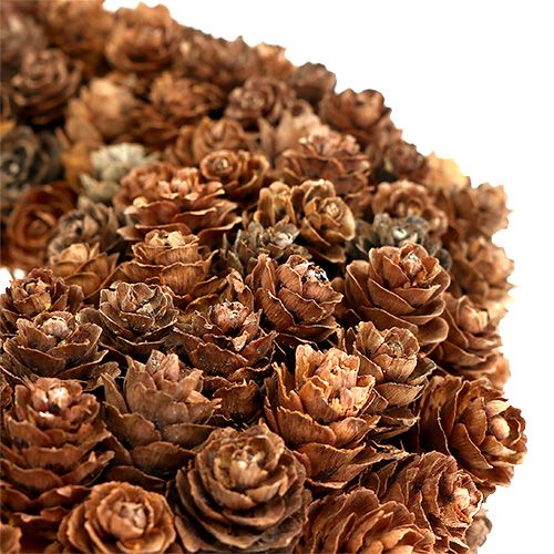 Product Cone wreath made of alder cones Ø27cm natural