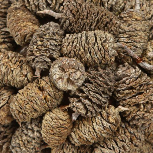 Product Cone ball for hanging alder cones white washed 12cm