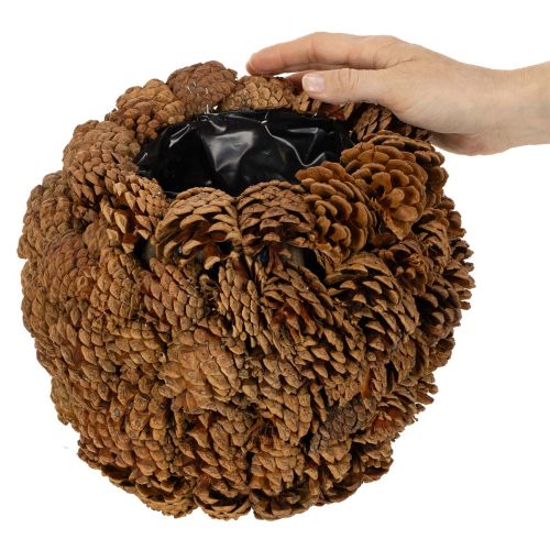 Decorative planter with pine