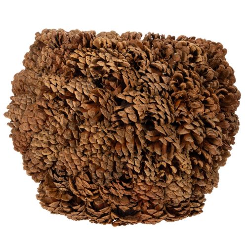 Decorative planter with pine