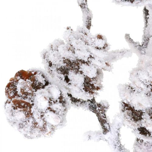 Product Christmas branch decorative branch cone branch snow-covered 72cm