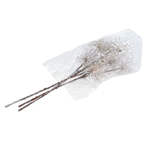 Product Witch Hazel Branch Champagne 45cm 3 pcs