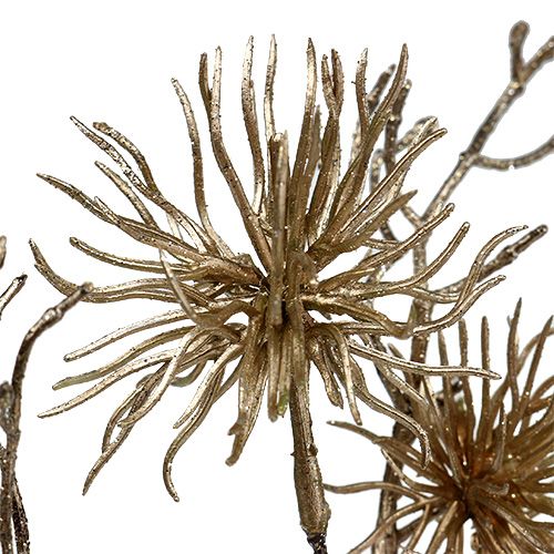 Product Witch hazel gold with glitter 50cm