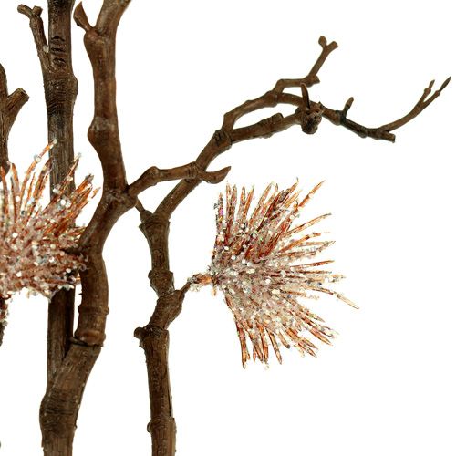 Floristik24 Witch hazel branch champagne 112cm