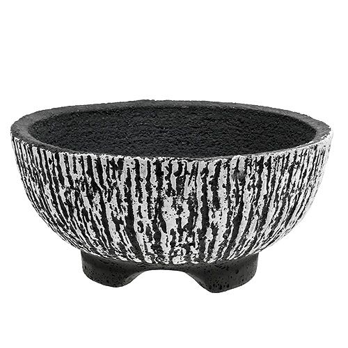 Floristik24 Cement bowl round Ø25cm bark