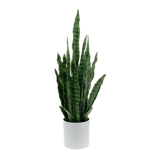 Floristik24 Sansevieria artificial in pot H62cm