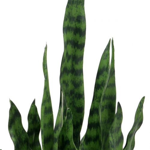 Floristik24 Sansevieria artificial in a pot H90cm