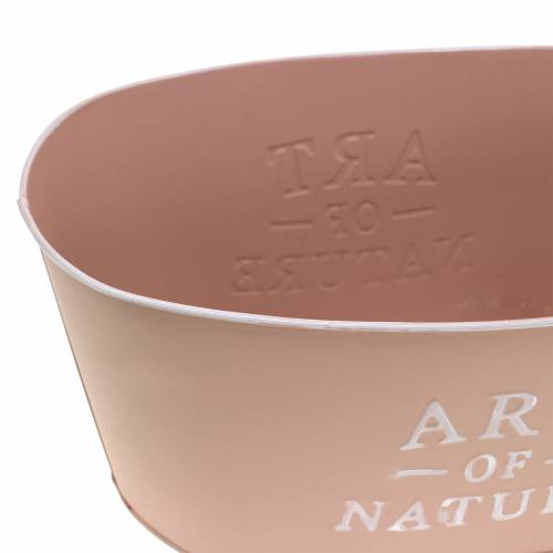 Product Flower bowl oval zinc old pink planter 27×18cm H12.5cm