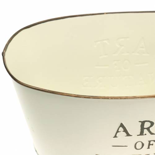 Floristik24 Flower bowl oval zinc cream 27×18cm H12.5cm