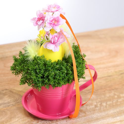 Product Planting cup with saucer for creative gardens, 11cm, 6 pieces