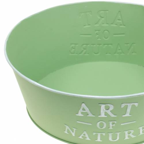 Product Flower bowl round zinc mint green Ø25cm H9cm