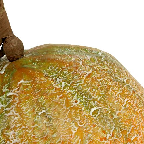 Floristik24 Decorative melon cantaloupe Ø14cm