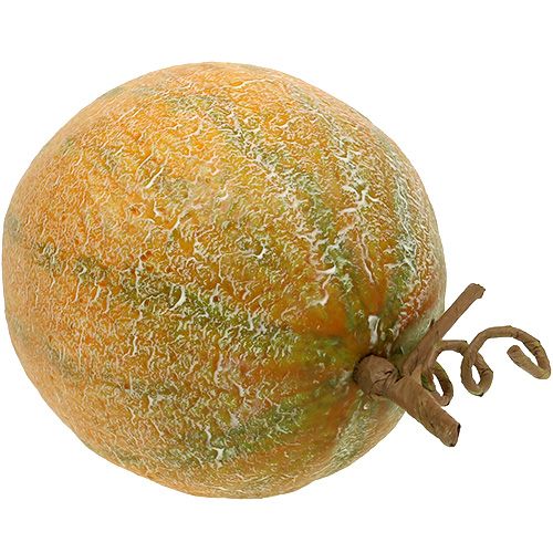 Floristik24 Decorative melon cantaloupe Ø14cm