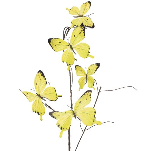 Floristik24 Butterfly branch, artistic spring decoration for indoors, 75cm