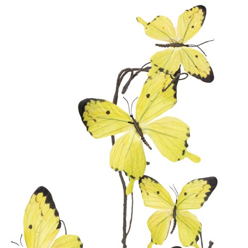 Product Butterfly branch, artistic spring decoration for indoors, 75cm