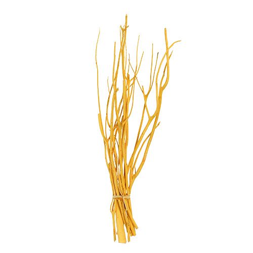 Floristik24 Deco branches Mitsumata yellow 45-60cm 12p