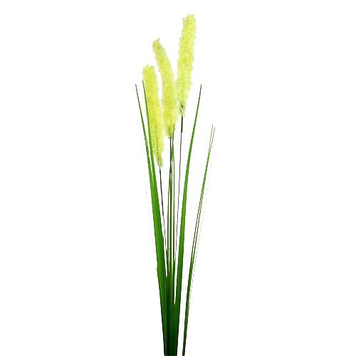 Product Onion grass 68cm green 6pcs