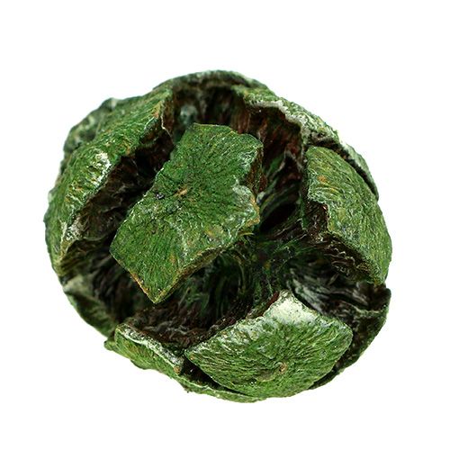 Floristik24 Cypress cones 3cm green 500g