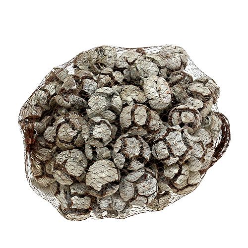 Product Cypress cones 3cm white washed 500g