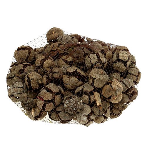 Product Cypress cones nature 3cm 500g