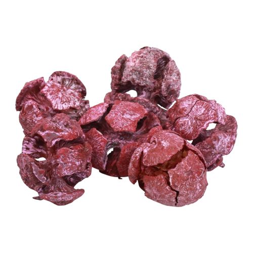 Cypress cones frosted natural decoration 3cm dark red 500g