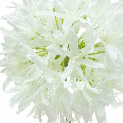 Product Ornamental onion Allium artificial white Ø12cm H62cm