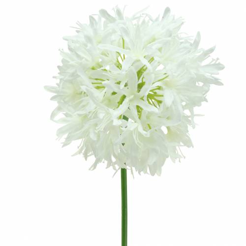 Product Ornamental onion Allium artificial white Ø12cm H62cm