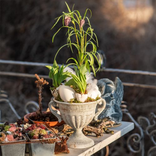 Floristik24 Antique trophy with handles metal decoration vintage grey white H18cm