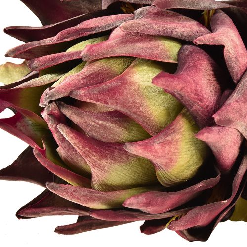 Floristik24 Artichoke artificial Large artificial flower Dry Look Purple 76cm