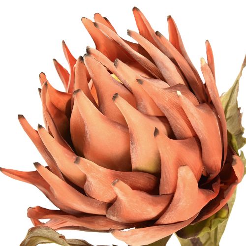 Product Artichoke Artificial Flower Autumn Orange Dry Look Ø15cm 73cm