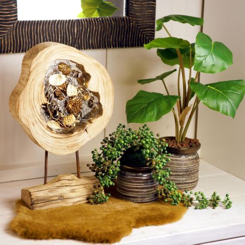 Floristik24 Rustic wooden ring on stand – Natural wood grain, 54 cm – Unique sculpture for stylish living ambience