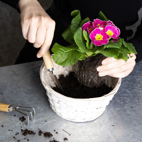 Product Wicker basket decoration for versatile interior design, 20cm, 8 pieces