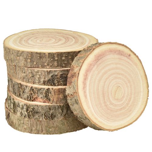 Product Paulownia (Euonymus) Tree Slices Natural Decoration Ø12-14cm 6pcs - Wooden Slices for DIY and Weddings