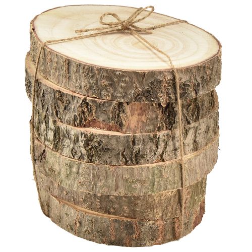 Product Paulownia (Euonymus) Tree Slices Natural Decoration Ø12-14cm 6pcs - Wooden Slices for DIY and Weddings