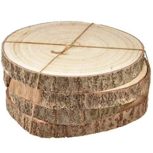 Floristik24 Tree disc Paulownia wood decoration natural Ø17-21cm 4 pcs