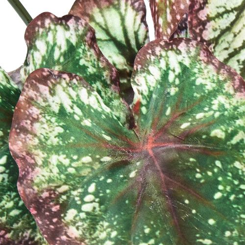 Product Begonia Artificial Plants Leaf Begonias Green Purple 62cm