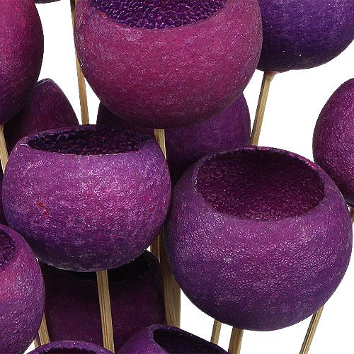 Floristik24 Bell Cup Mix on a stick Erika 15 pcs