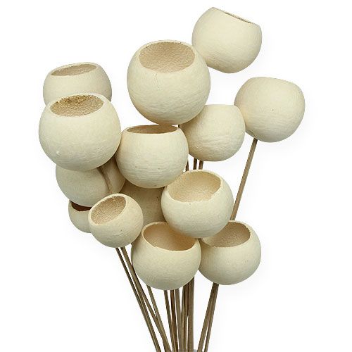 Bell Cup Mix on a stick bleached 15pcs