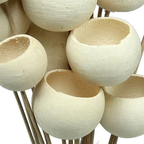 Product Bell Cup Mix on a stick bleached 15pcs