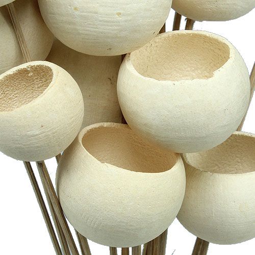 Product Bell Cup Mix on a stick bleached 15 pcs