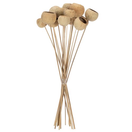 Product Bell Cup Mix on a Stem, Natural Exotic Varieties, 15 pieces