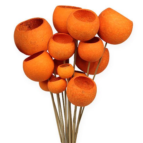 Floristik24 Bell Cup Mix on a stick orange 15 pcs