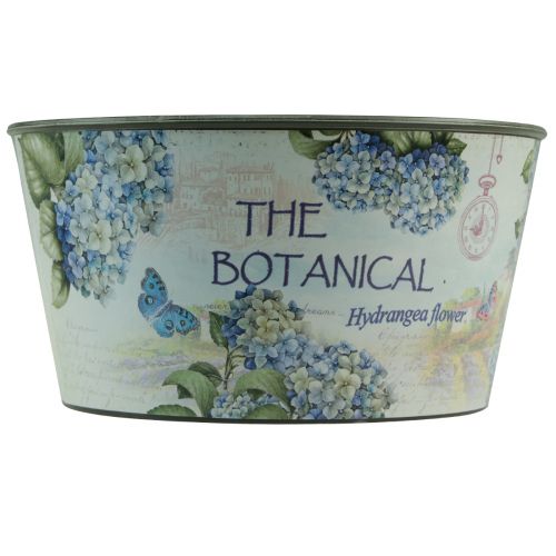 Product Planter hydrangeas flower bowl round plastic Ø21cm H11cm