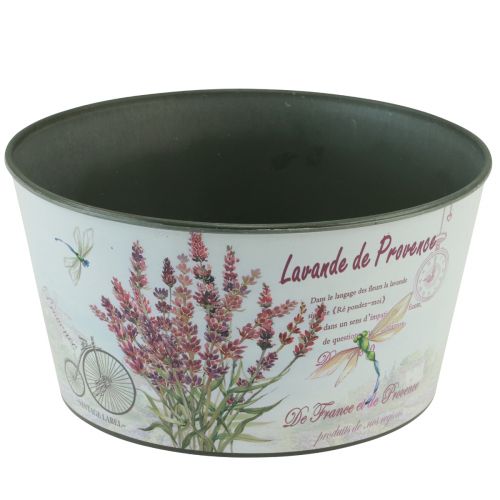 Floristik24 Planter lavender plastic flower bowl round Ø21cm H11cm