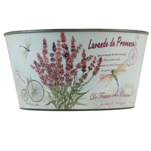 Product Planter lavender plastic flower bowl round Ø21cm H11cm